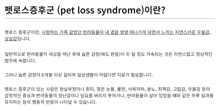 펫로스-증후군-극복-방법-5가지-알아보기