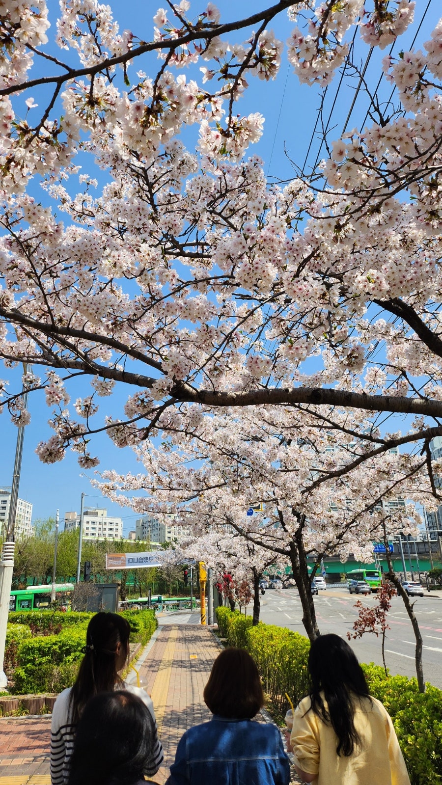 테크노전자 이미지