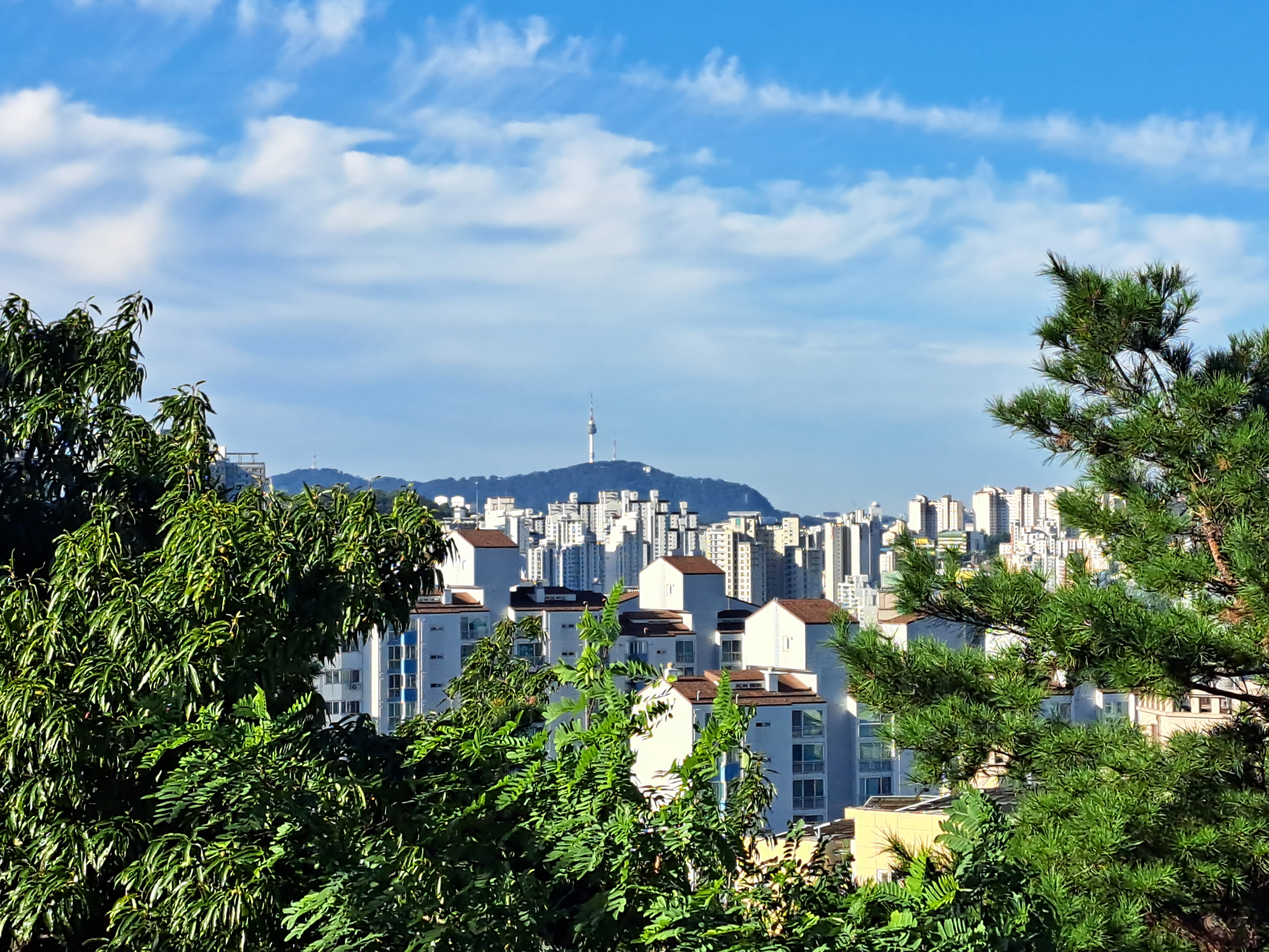 남산당구클럽 이미지
