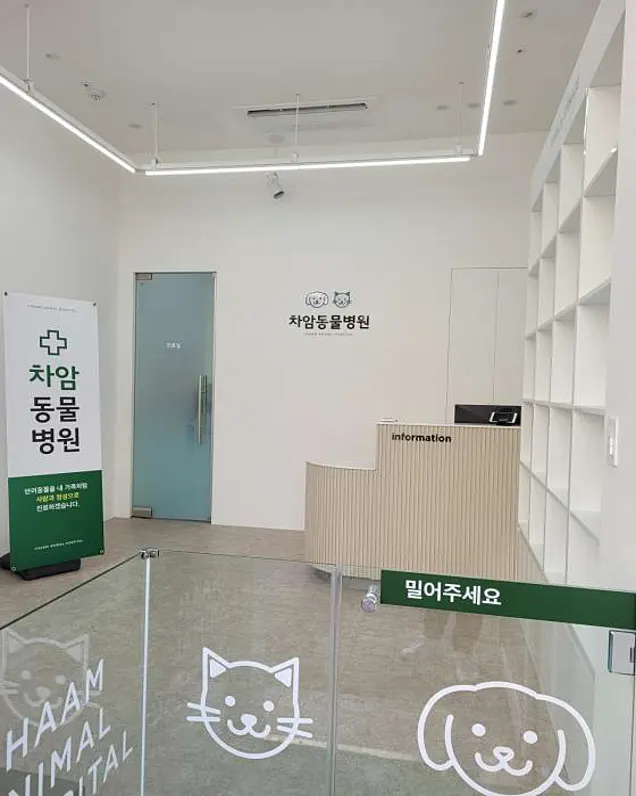 차암동물병원