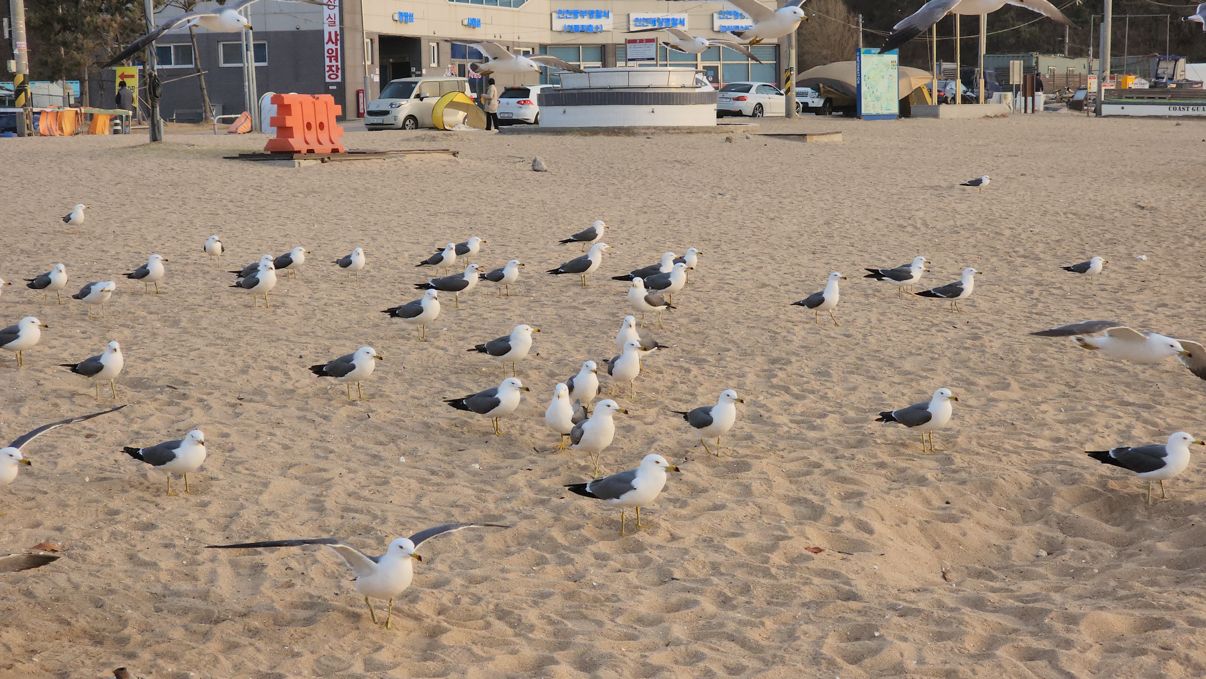 #을왕리 해수욕장 36