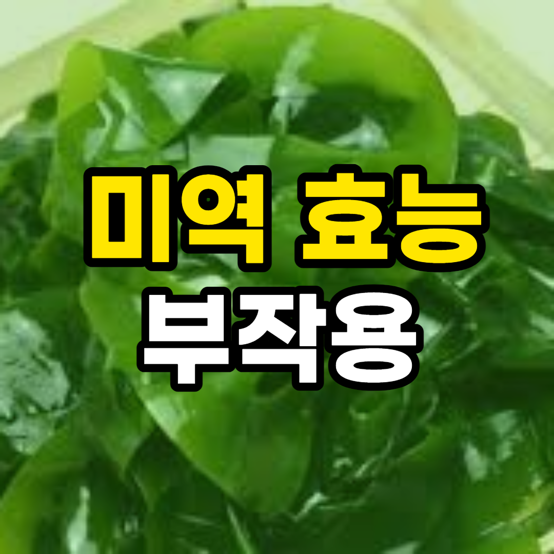  미역 효능 10가지 및 부작용