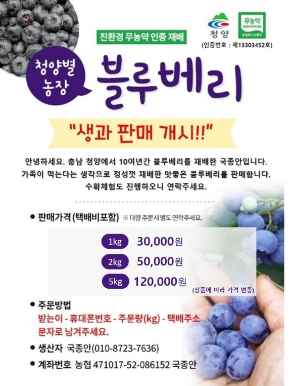  청양 블루베리 택배로 신선한 생과 받자