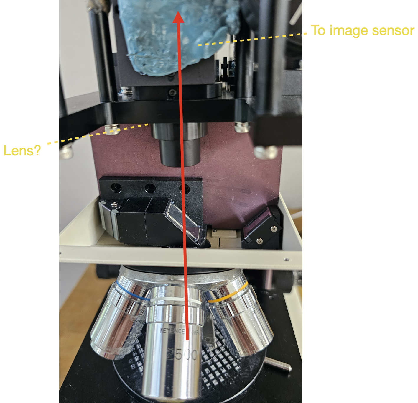 DIY microscope