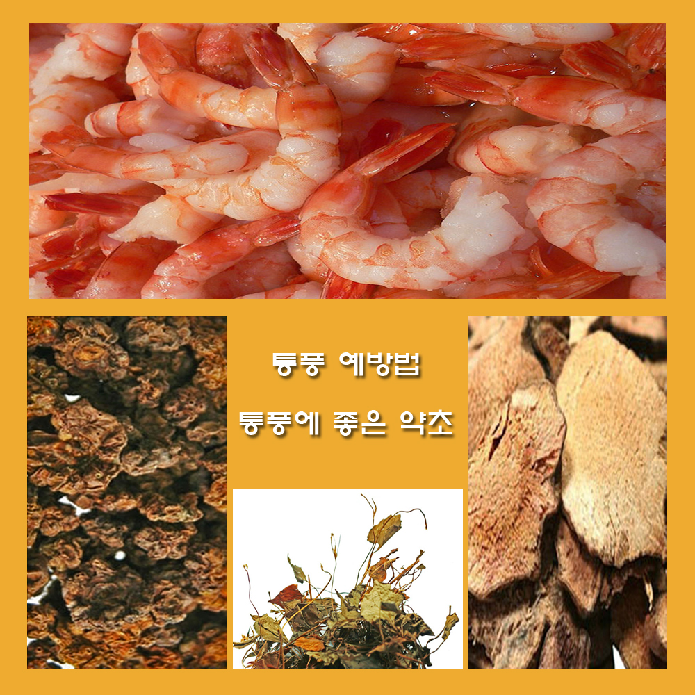  통풍 예방법과 통풍에 좋은 약초