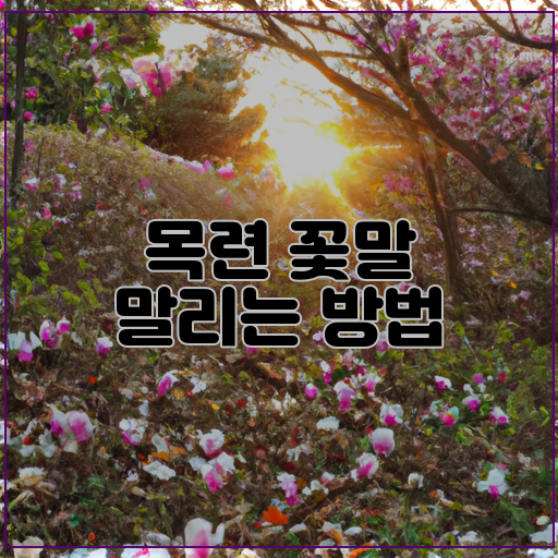  목련의 아름다움을 오래 오래 간직하는 법