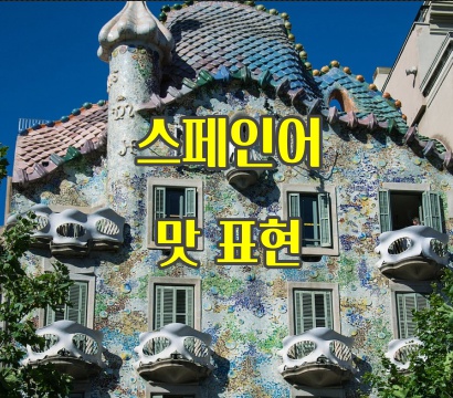  스페인어로 맛 표현하기. 맛있다, 달다, 짜다 여러가지 맛에 관련된 표현 배우기