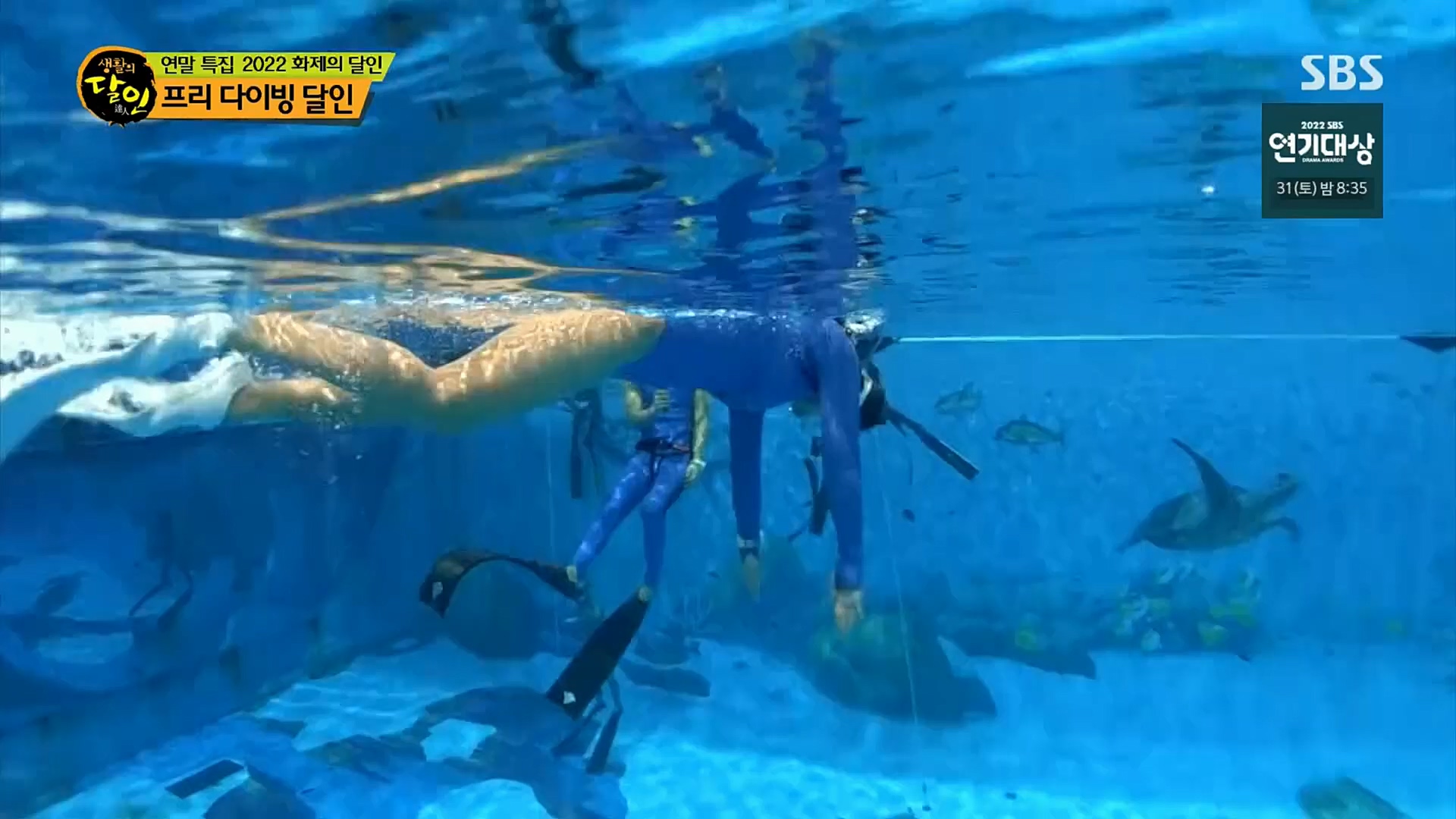 생활의 달인.E870.221226p.H264-F1RST.mp4_20221228_192118.966.jpg