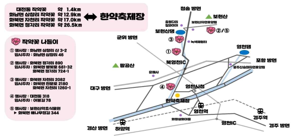 영천 작약꽃축제 장소