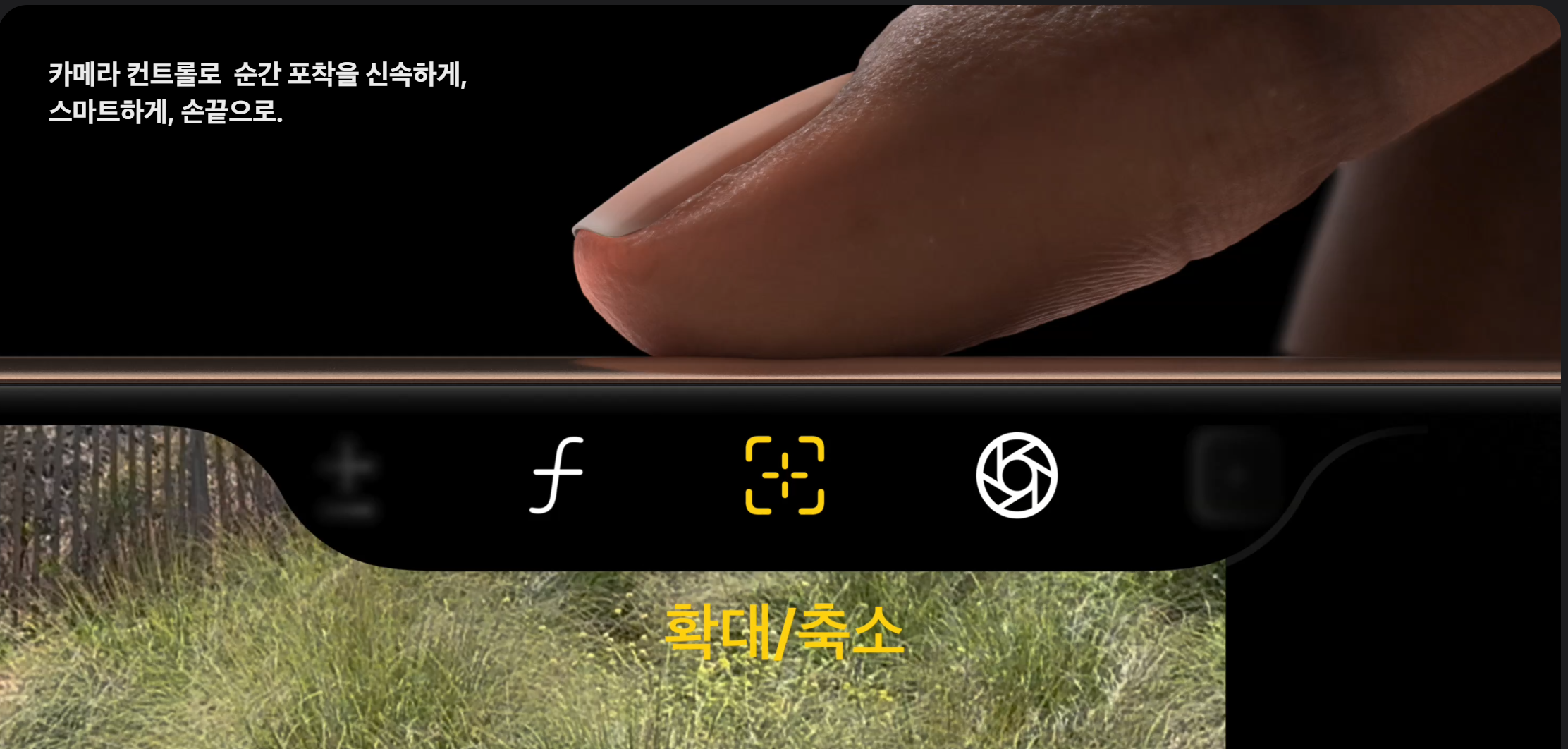 아이폰16 vs 아이폰16 프로 비교