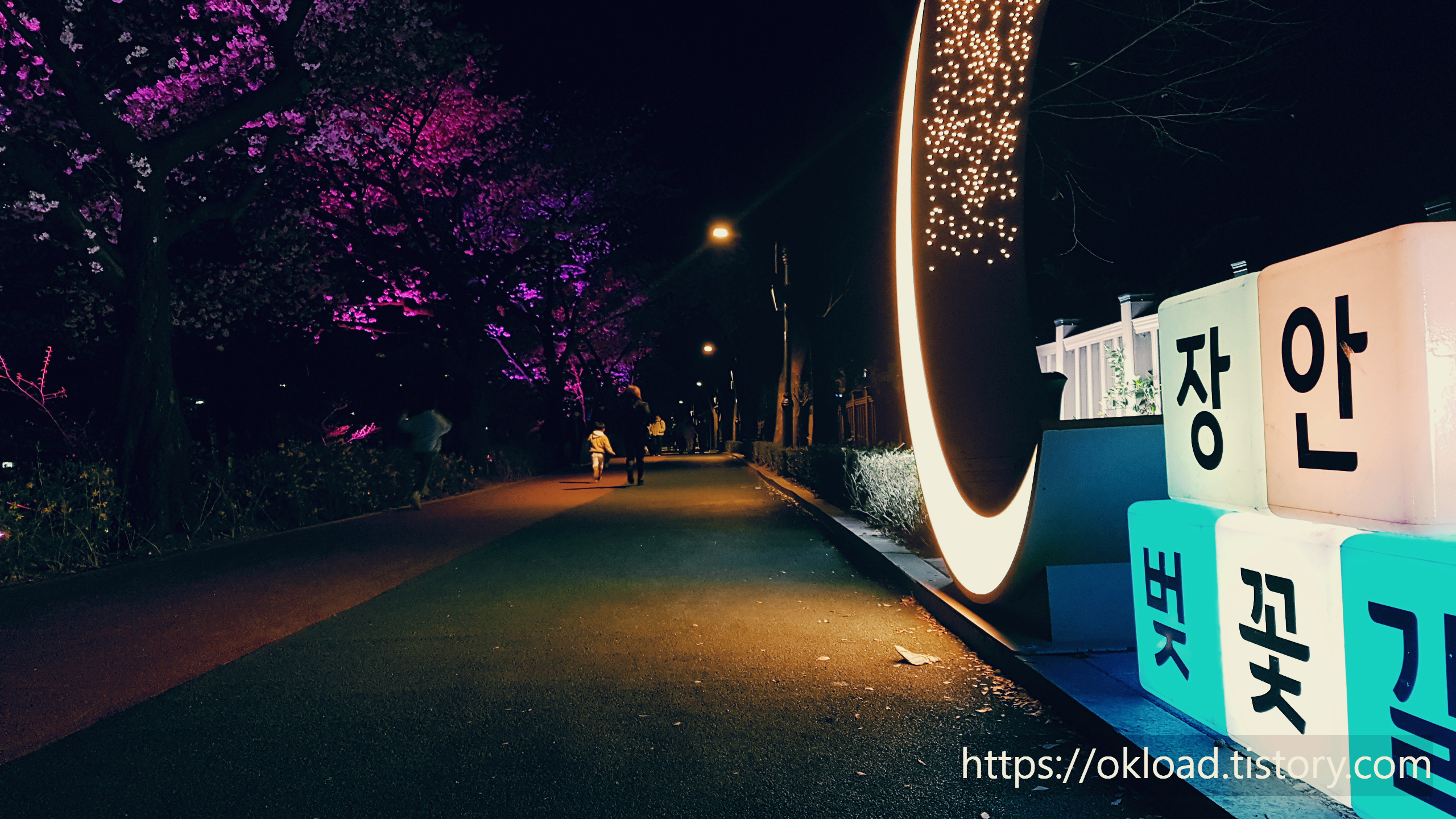 장안동 벚꽃길 ~ 중랑천 벚꽃길 산책 (서울 벚꽃 명소 봄나들이) 1