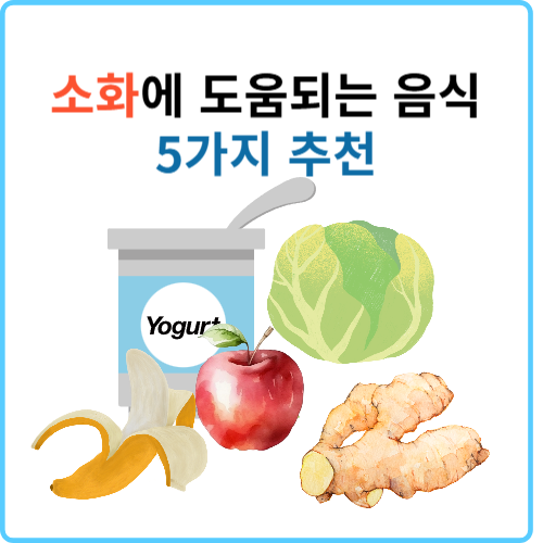 소화를 도와주는 식품 5가지 추천,먹는방법과 주의사항