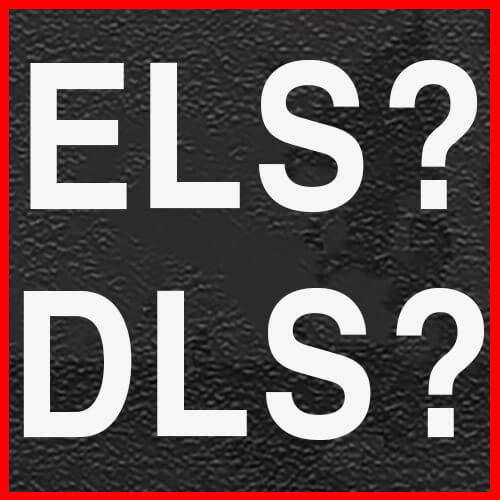  ELS란?,DLS란?