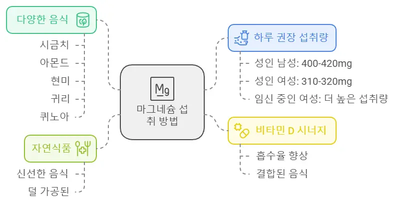 마그네슘 섭취 방법