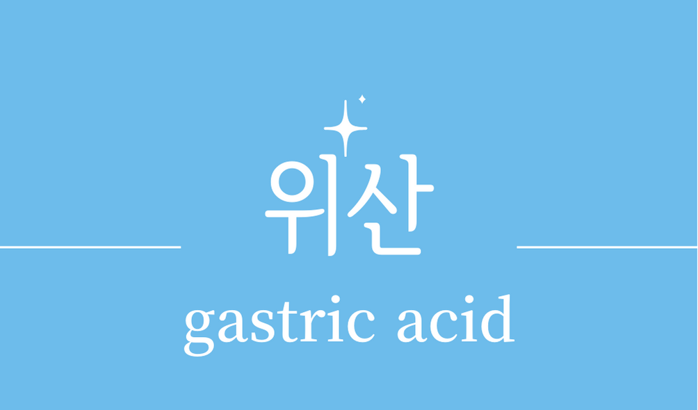 &#39;위산(gastric acid)&#39;