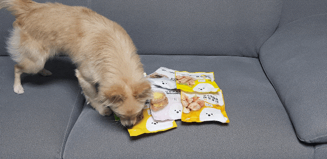 [강아지간식]허닭x핏펫몰 꼬꼬가슴살 맛있는 냄새로 15