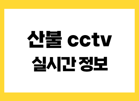 산불-씨씨티비-보는법