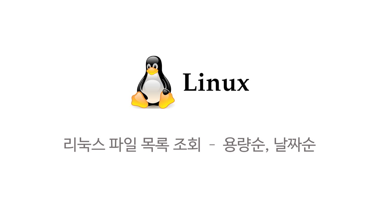  [Linux] 파일 목록 조회하기 - 용량순, 날짜순