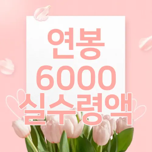 연봉 6000 실수령액