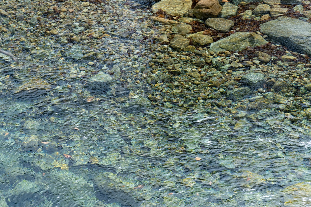 Salinity