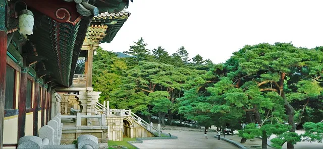 조선왕조 계보 태정태세문단세 순서_2