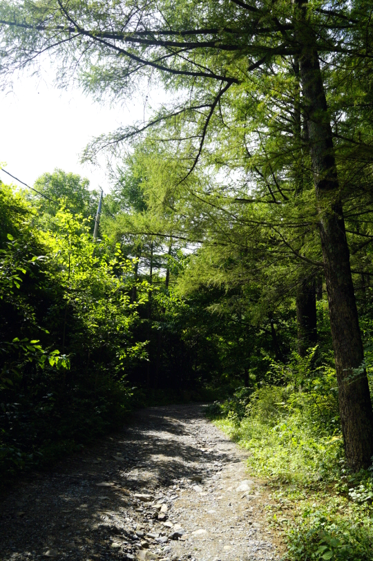 한국 명산 강원 태백 여행 태백산 등산 mountain hiking