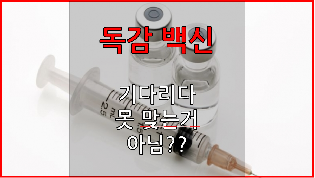  독감백신! 기다리다 못 맞는거 아님??