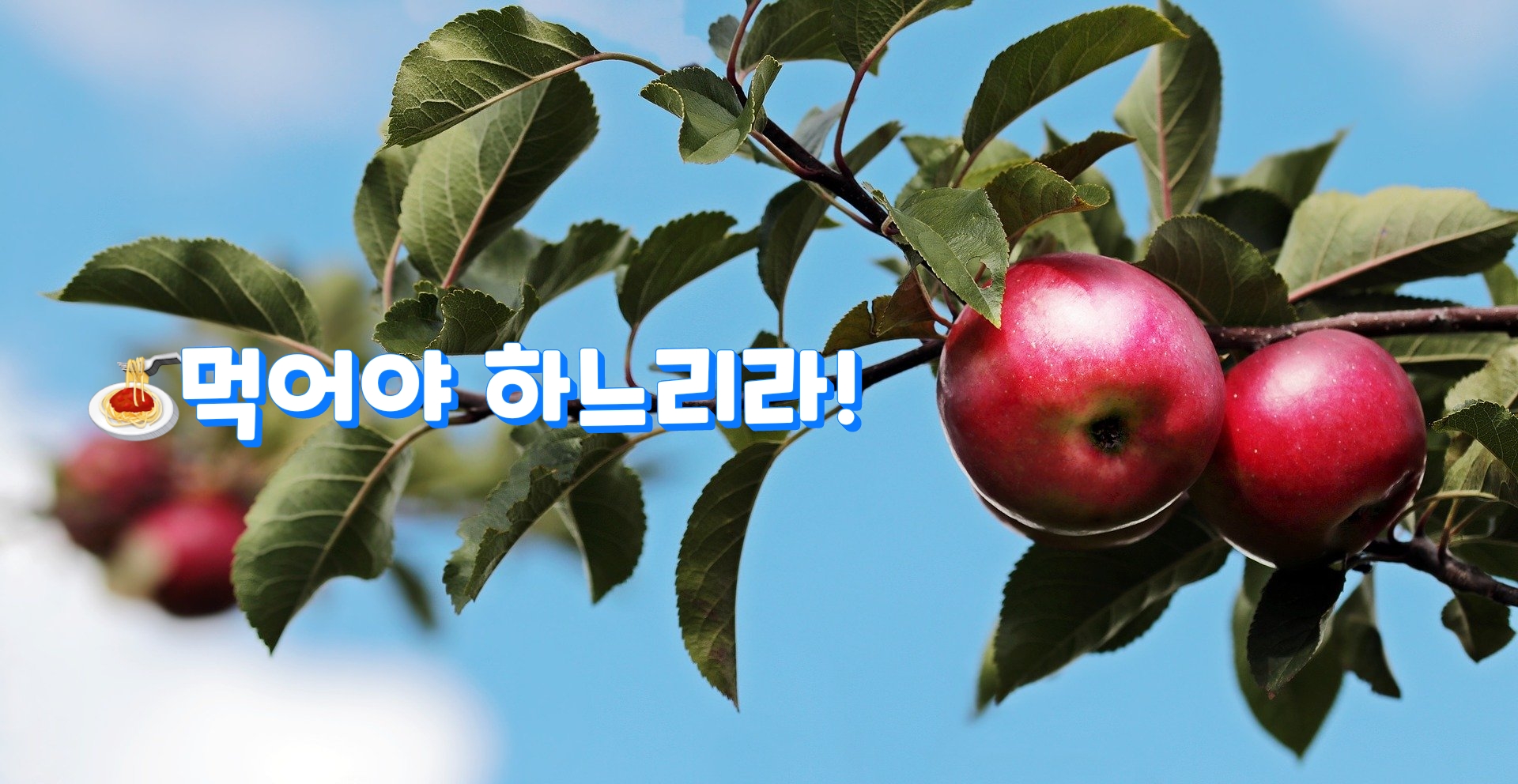  먹어야 하느리라!