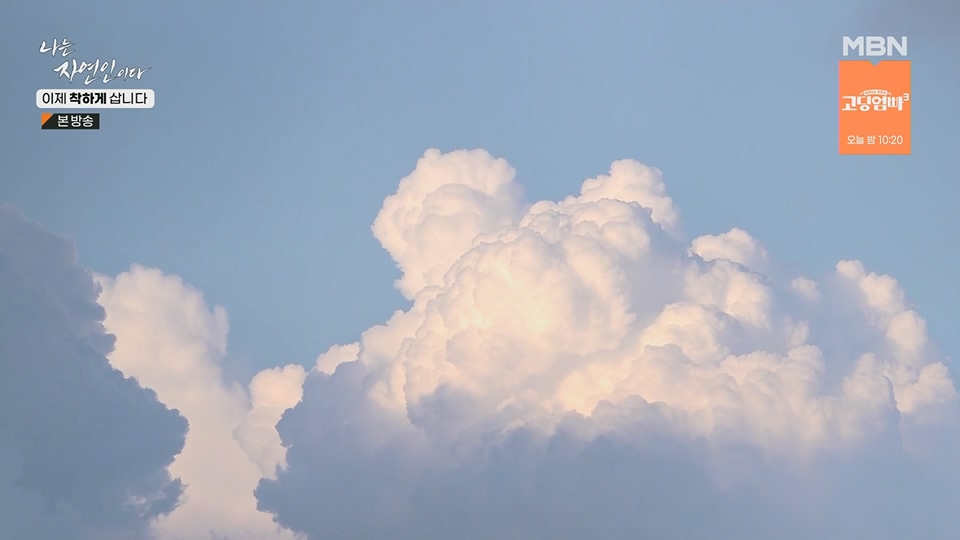 나는 자연인이다.E560.230628p.H264-F1RST.mp4_20230701_182702.595.jpg