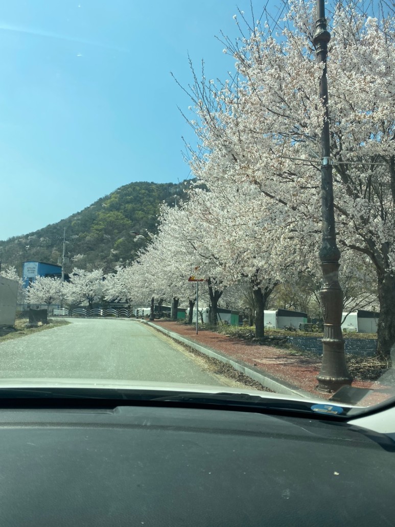 괴강관광농원 이미지