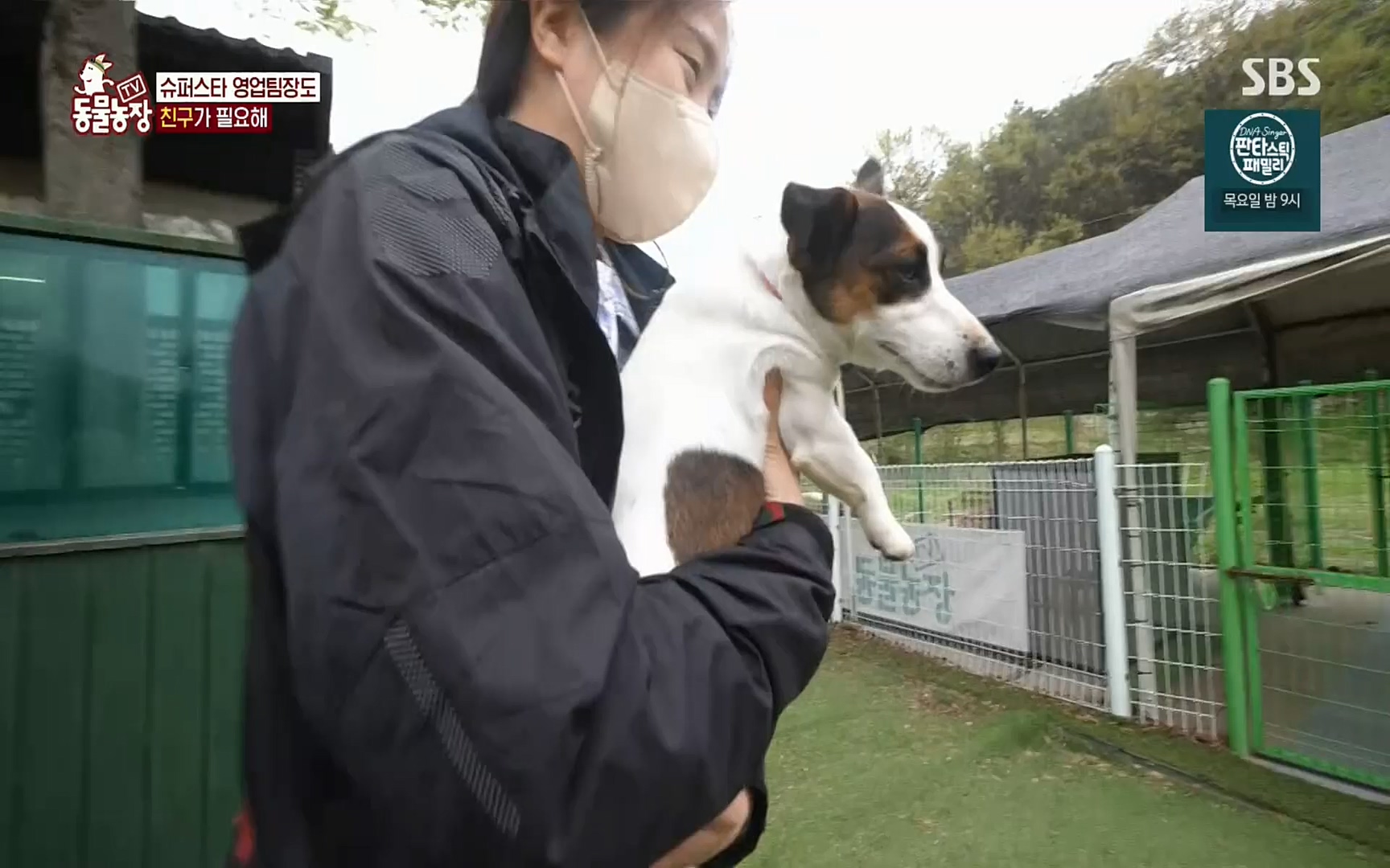TV 동물농장.E1069.220515p.H264-F1RST.mp4_20220515_181238.010.jpg