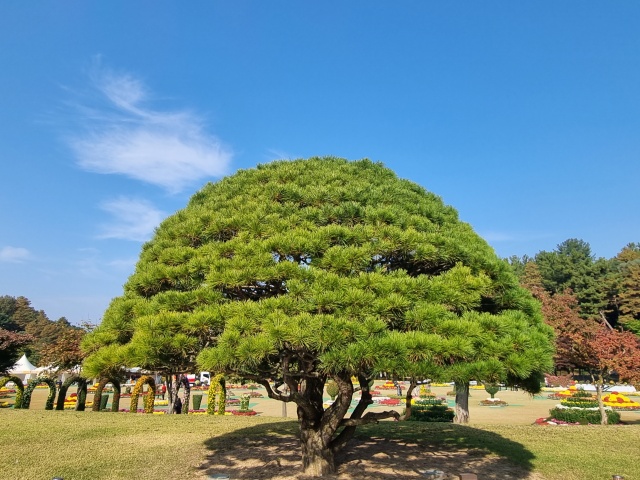 반송