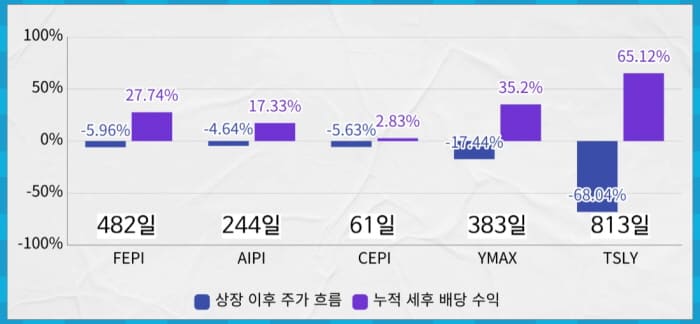 누적 수익률 비교