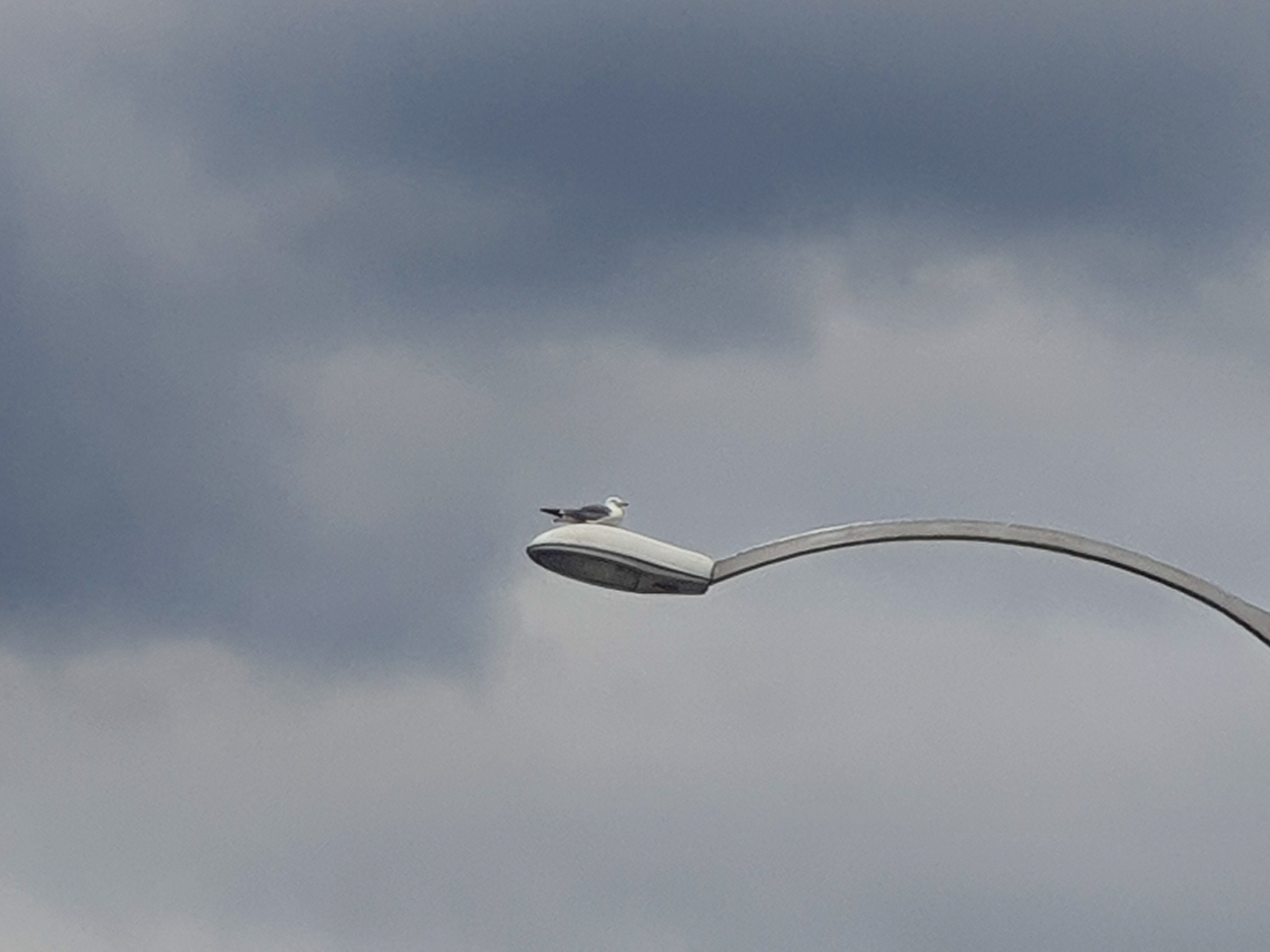 img.jpg