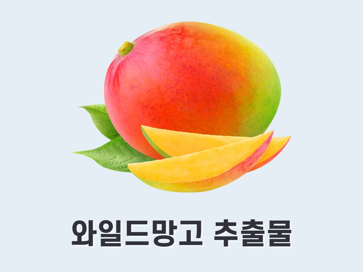 와일드망고 추출물(Ellagic Acid)