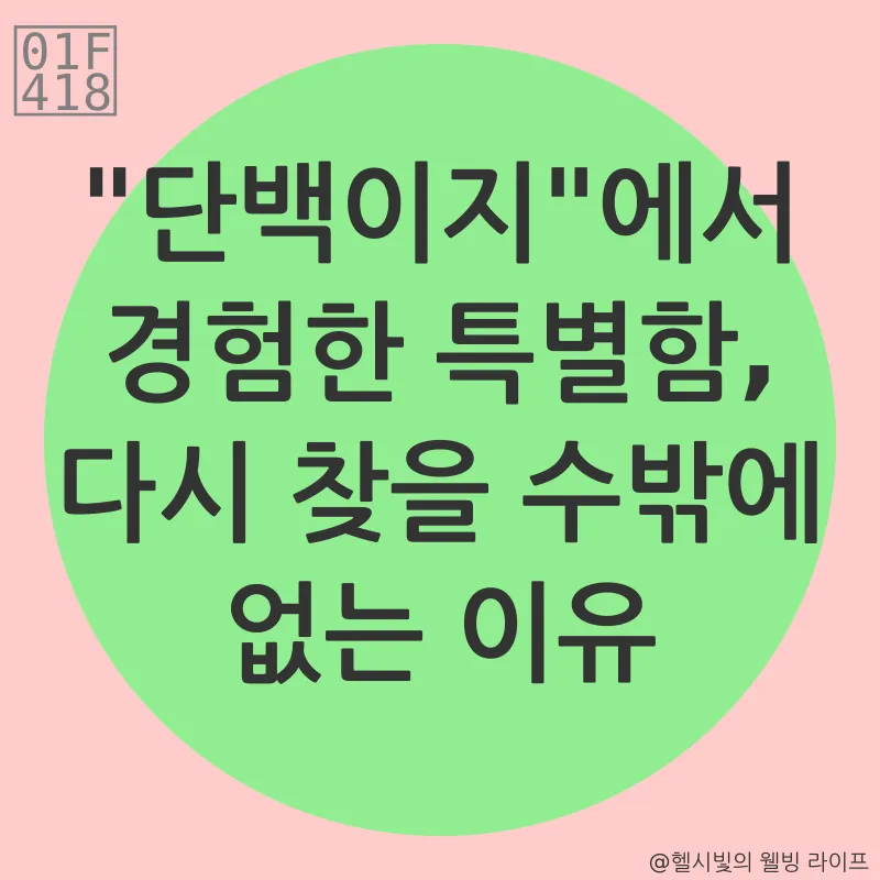 건강한 식단_3