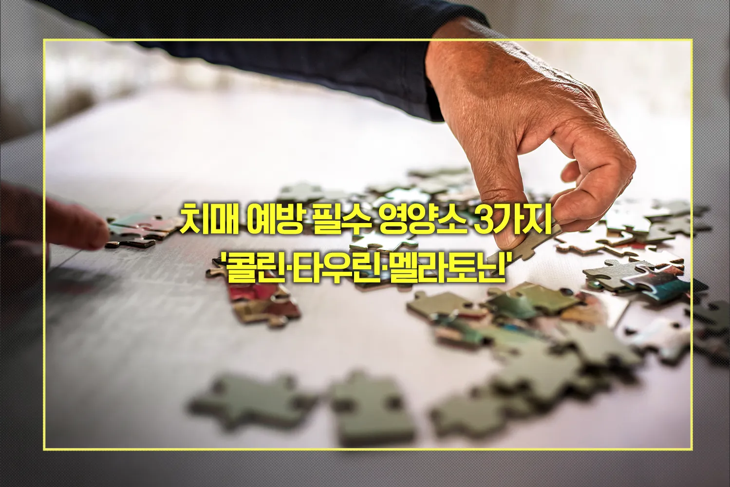 치매 예방 영양소 콜린, 타우린, 멜라토닌
