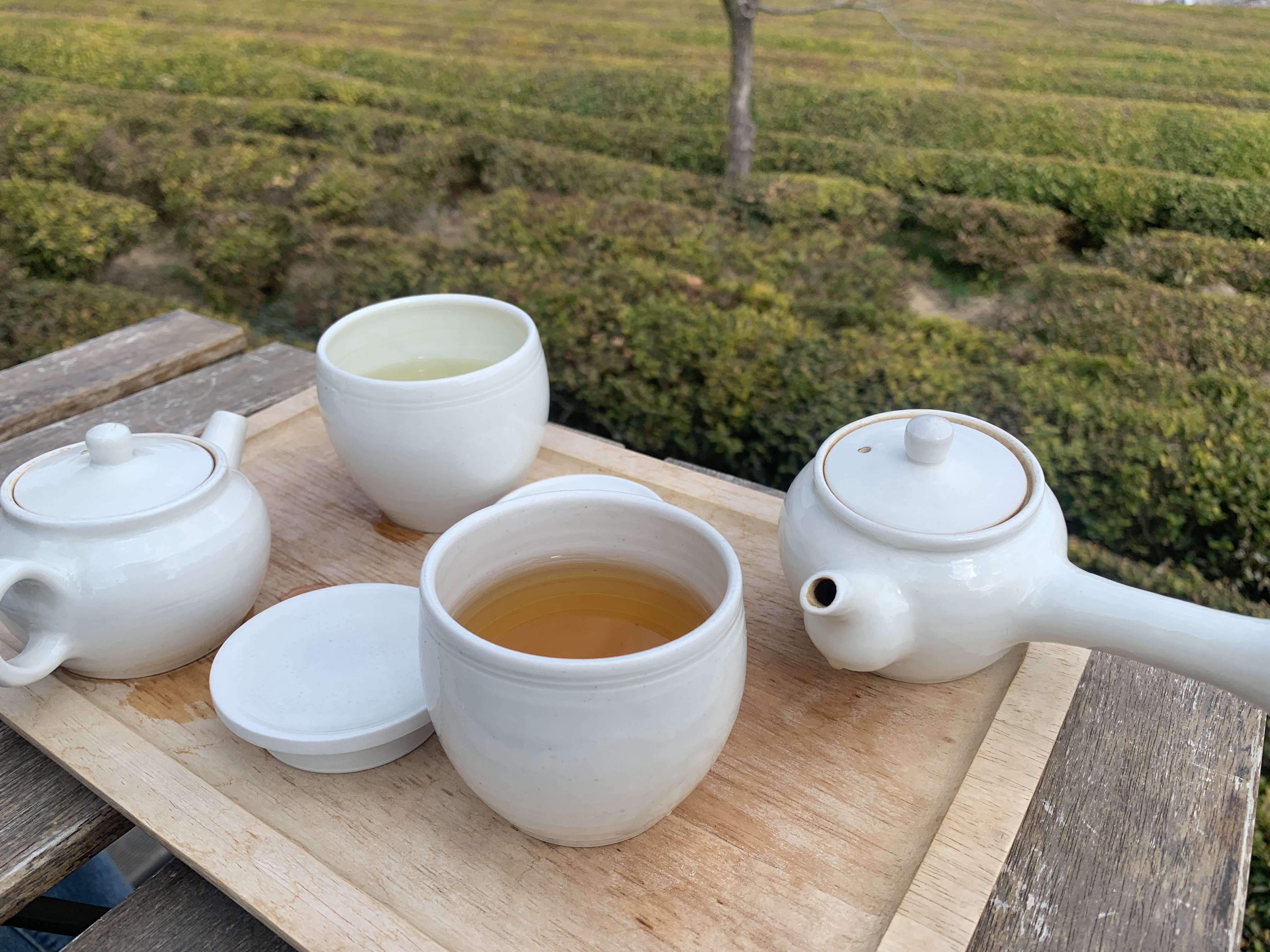  하동 가볼만한 곳, 가만히 멍때리며 힐링하고 온 <매암제다원>