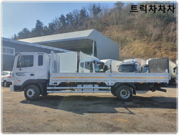 트럭 카고 리프트 2020년 1