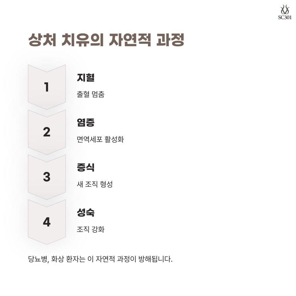 img 지방유래 줄기세포(ADSC)를 이용한 상처치유 – 희망의 치료법?
