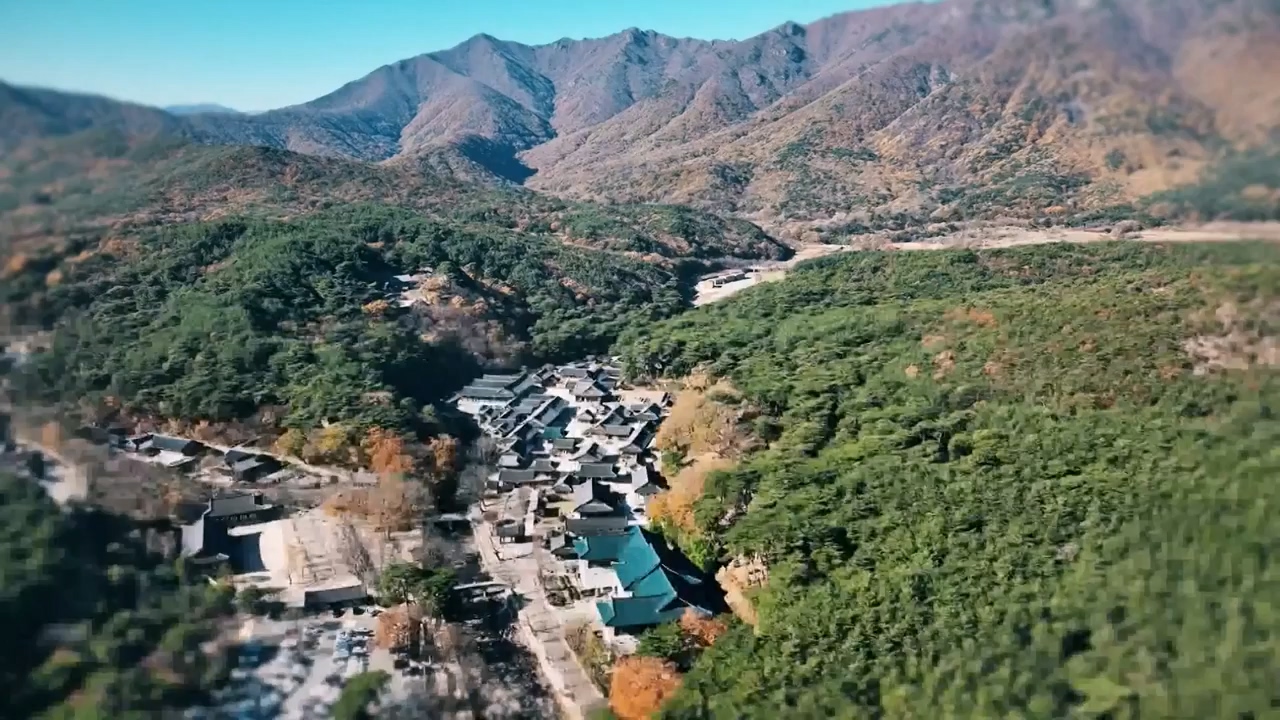 일요특선 다큐멘터리.E338.240129p-NEXT.mp4_20240129_204905.679.jpg