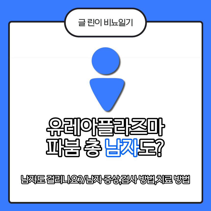 유레아플라즈마 파붐 남자