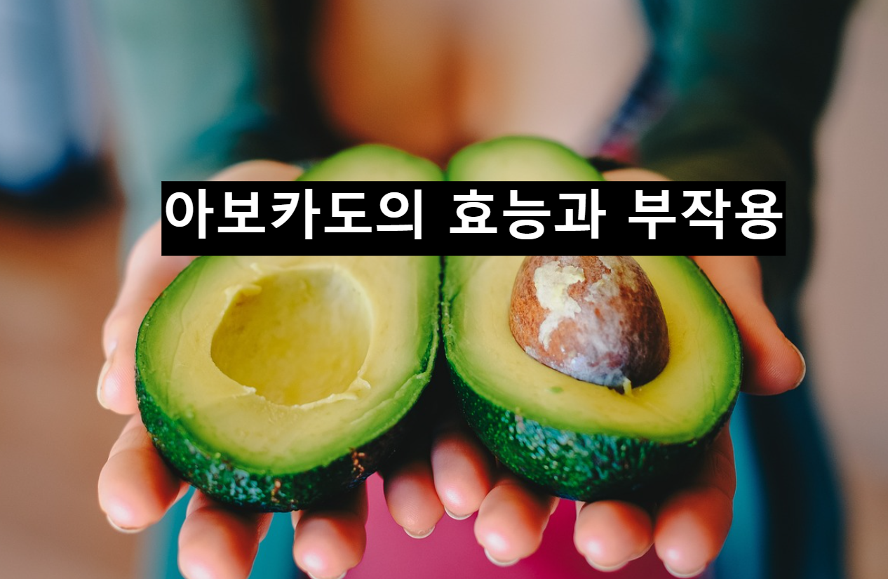  아보카도의 효능과 부작용