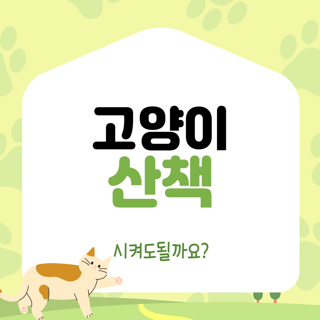  고양이 산책 시켜도 될까요