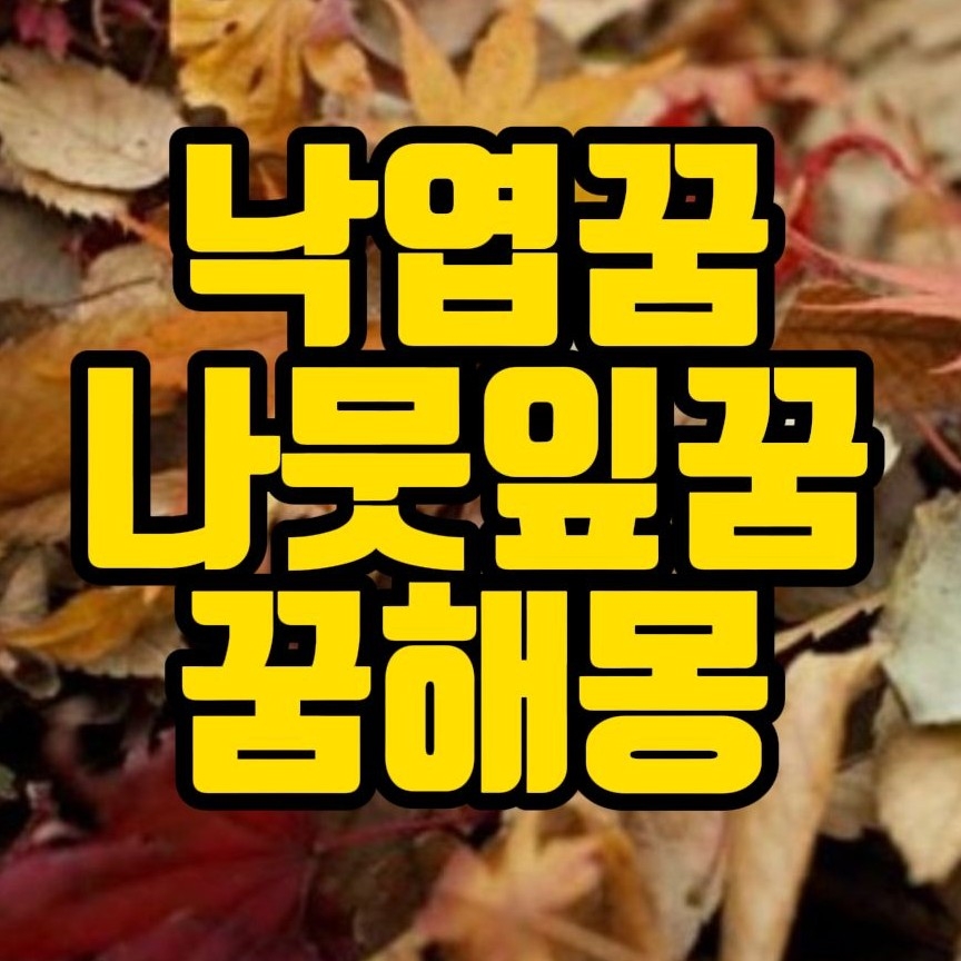  [꿈해몽] 낙엽꿈,나뭇잎꿈,도토리꿈,갈대꿈 관련 꿈풀이