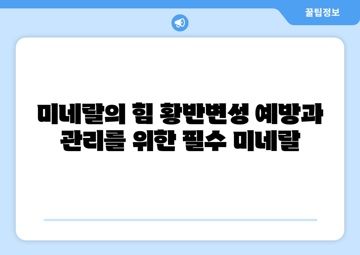 미네랄의 힘 황반변성 예방과 관리를 위한 필수 미네랄