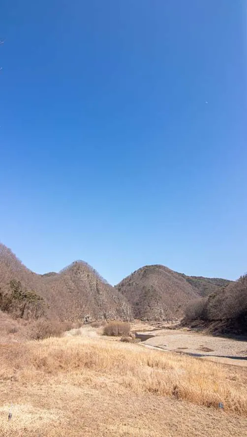 반구대암각화