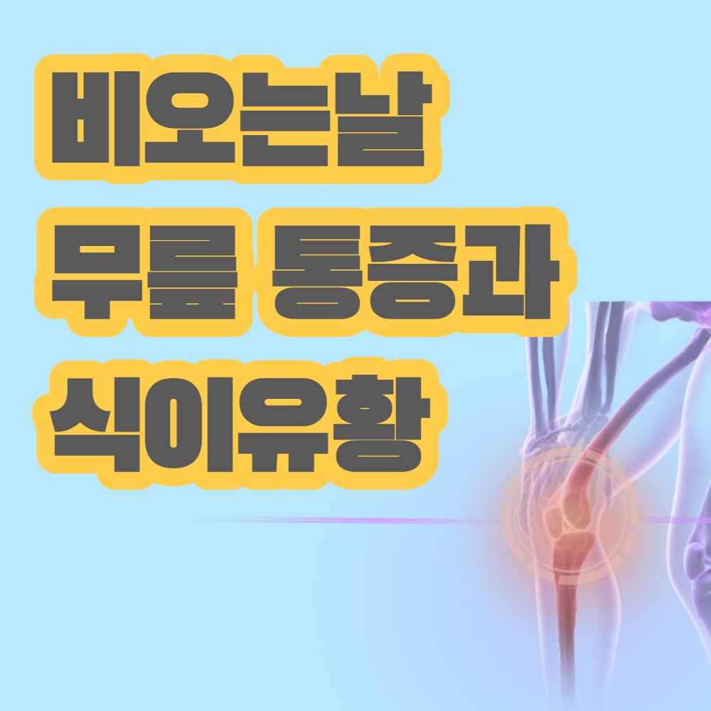  비 오면 무릎이 아픈 이유와 관절통에 좋은 식이유황음식