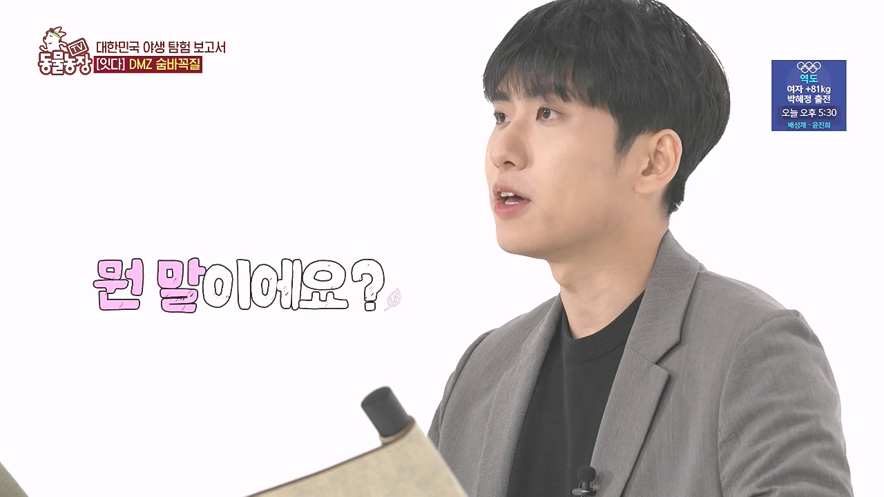 TV 동물농장.E1184.240812p-NEXT.mp4_20240811_172508.429.jpg