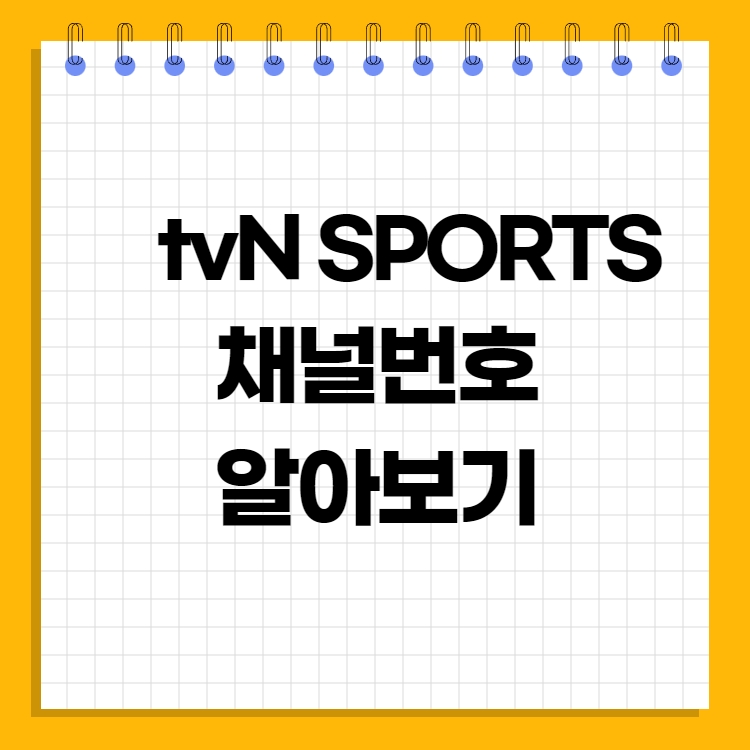 티비엔-sports-채널-번호-알아보기